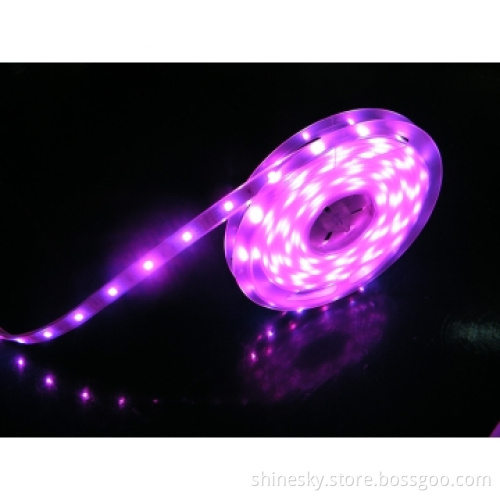 10mm SMD5050 Flex LED Light Strip